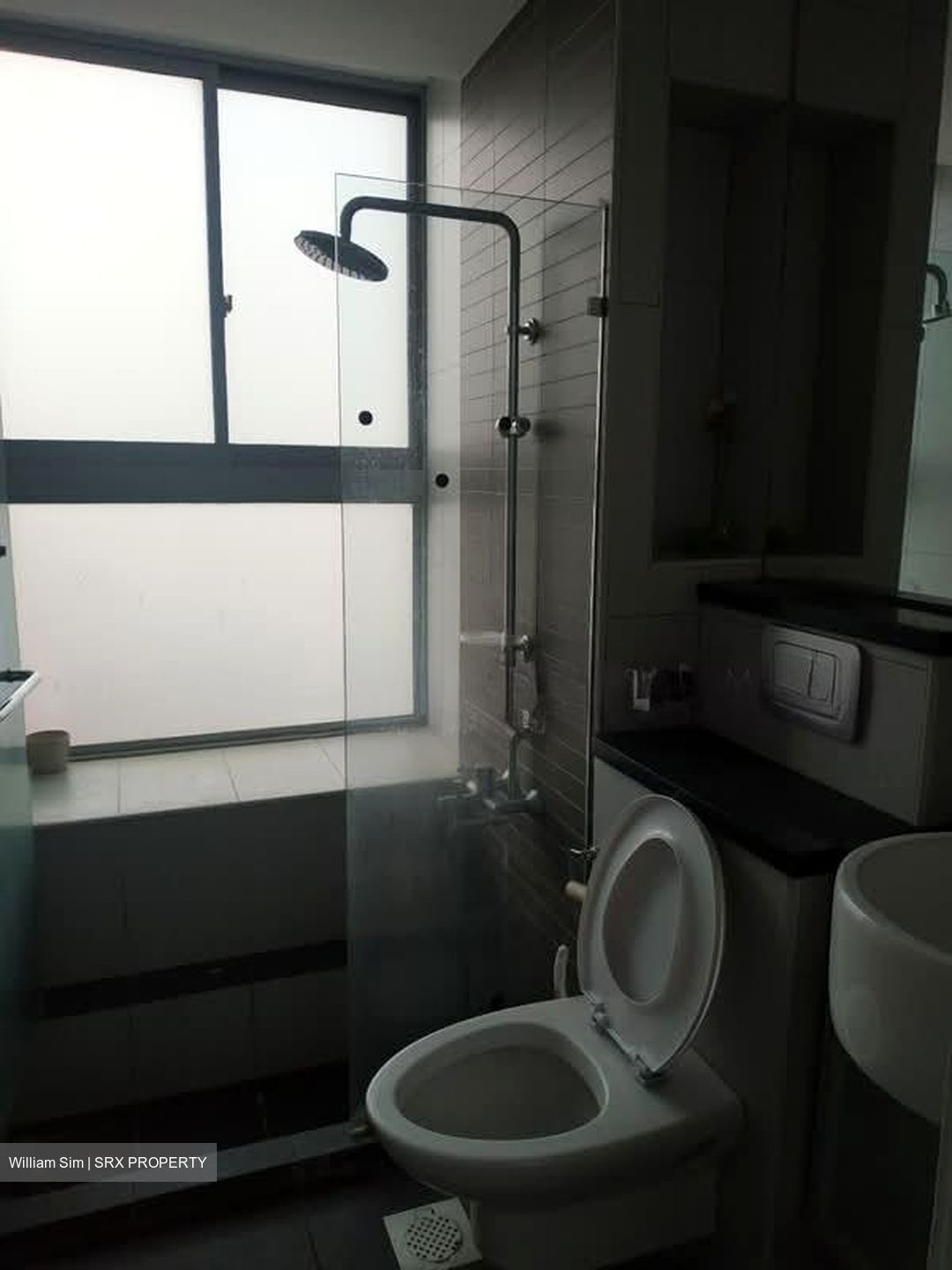 Evergreen View (D14), Apartment #575636141